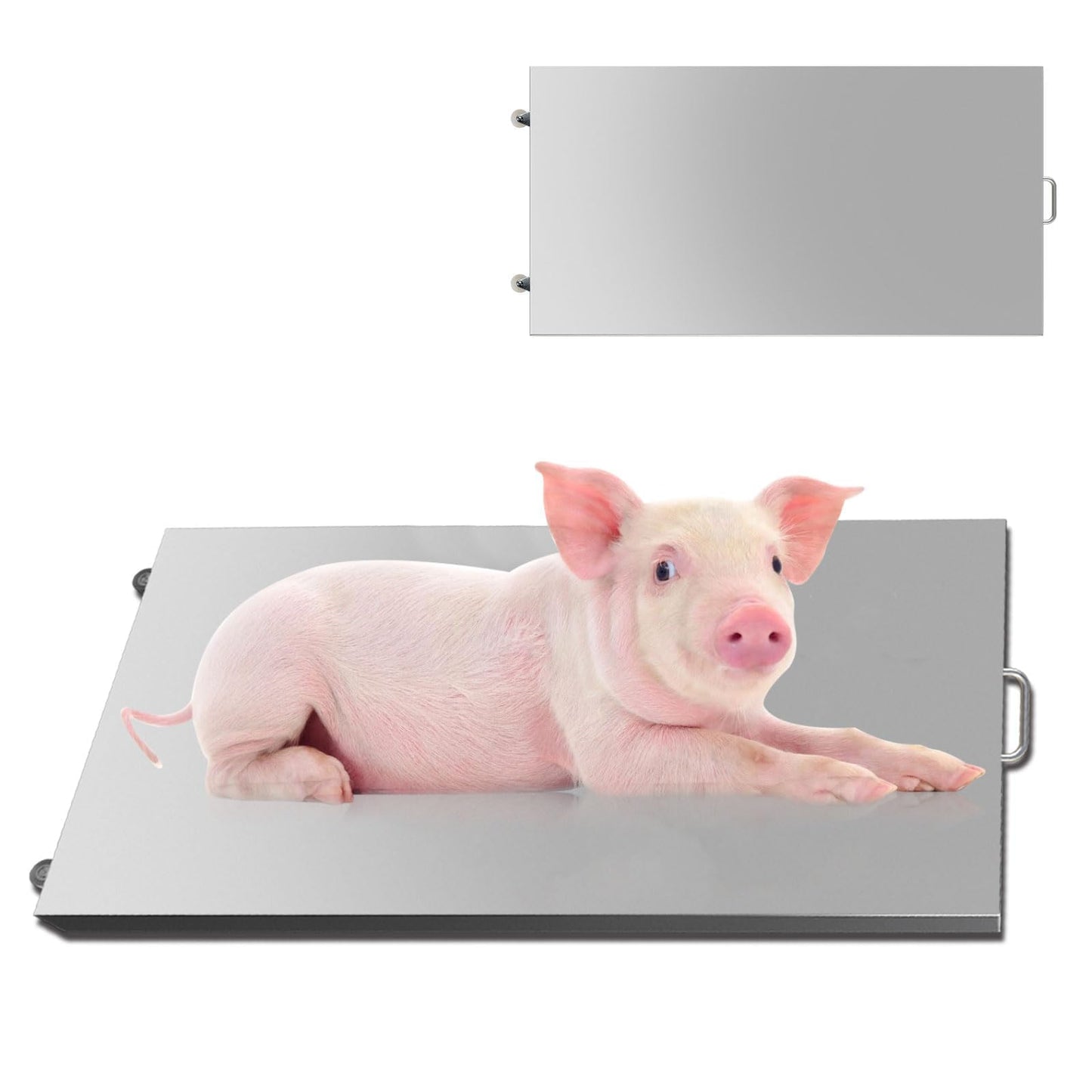 Livestock Animal Scale Vet Scale Farm Animal Scales Suitable for Weighing Large Sized Animals,Including Dog, Lambs, Goats, Pigs, Sheep, Pigs, hogs, Donkey, Calf,etc. 1000lbs Capacity (44" x 22")