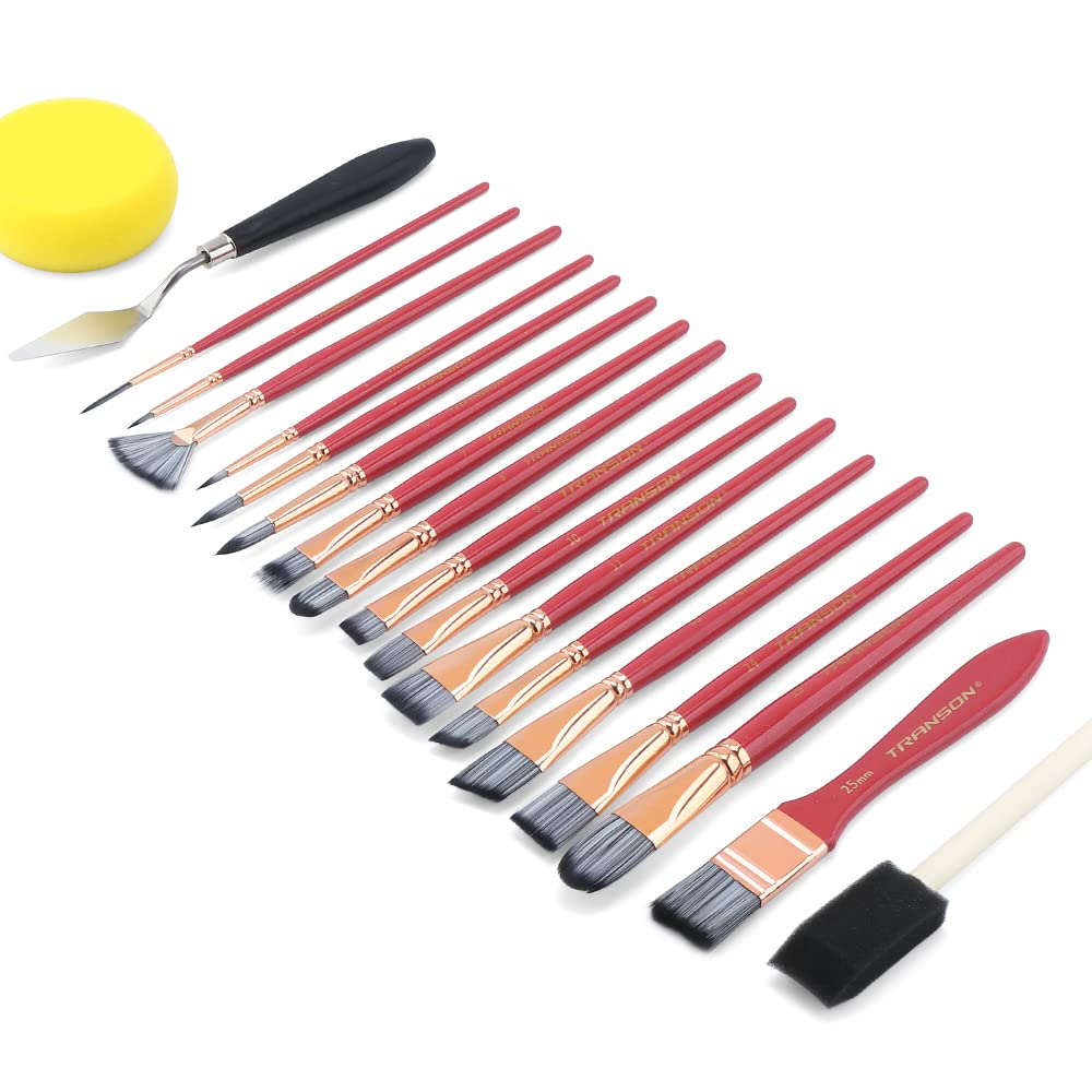 Transon 20Pcs Art Paint Brush Kit with Storage Case, 16 Brushes + Foam Brush Spatula Sponge for Acrylic Oil Watercolor Gouache, Adults Teens Beginners Art Supplies