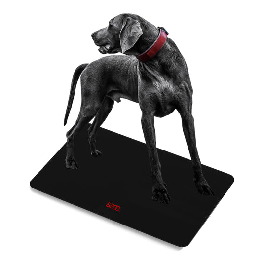 SIKE Medium-Large Breed Veterinary Scale, Dog Scale (±10g) Accuracy, Red LED, 32 x 20 inch Tempered Glass Platform with Anti Slip Sticker, Digital Pet Scales