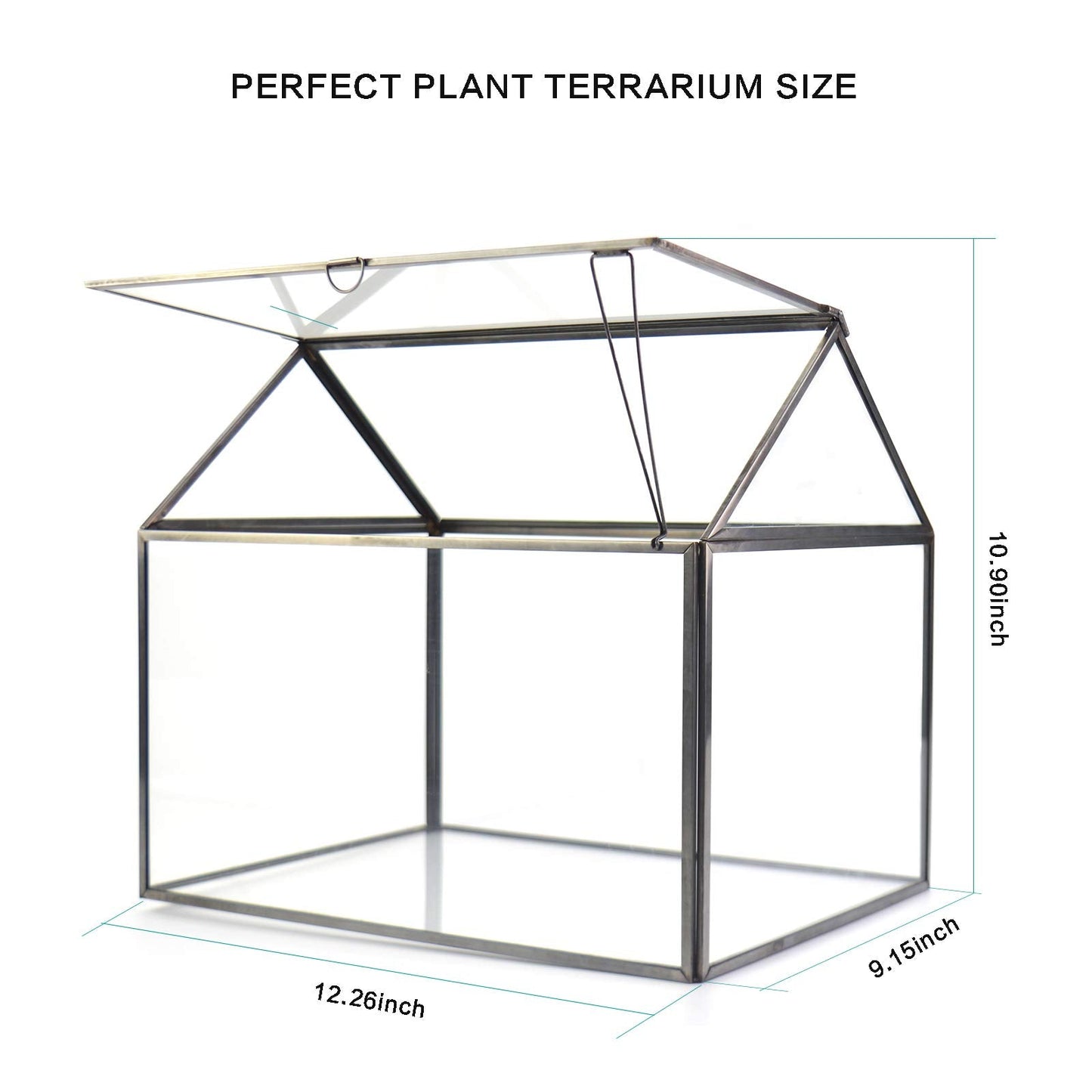 Large Glass Plant Terrarium – House Succulent Glass Terrarium Kit with Lip Glass Greenhouse Terrarium for Plant 12.26X9.15X10.9inch (Black 2)