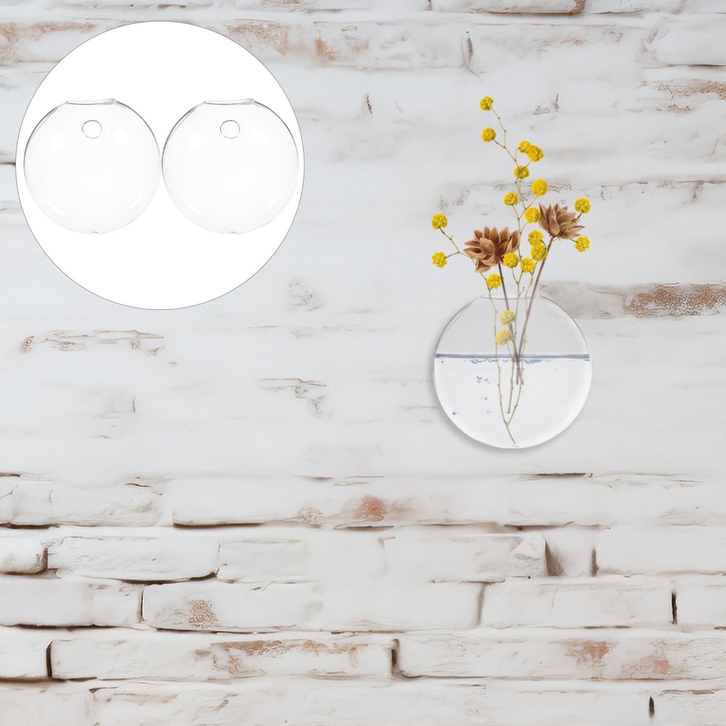 Happyyami 2pcs Wall-Mounted Glass Terrarium Floating Plant Pot Wall Planter for Home Hydroponic Flower Decor Space-Saving Hanging Vase