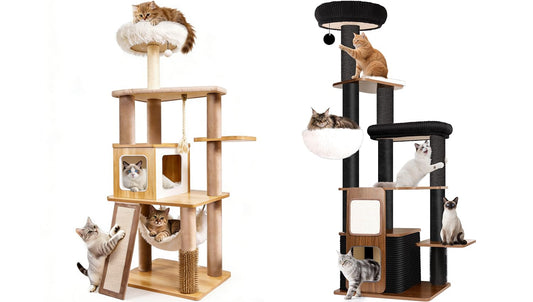 Purrlato Bundle-2 Items: 61" Cat Tree+ 63" Modern Cat Tree