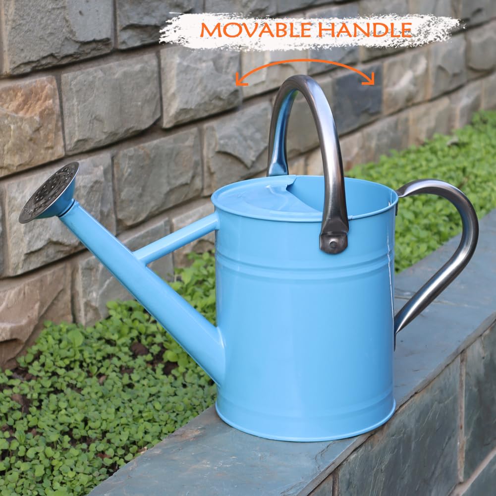 yourjoy Metal Watering Can, One Gallon Watering Cans Stainless Steel for Outdoor Indoor Garden Plants Watering (Stainless Steel Handle Blue)