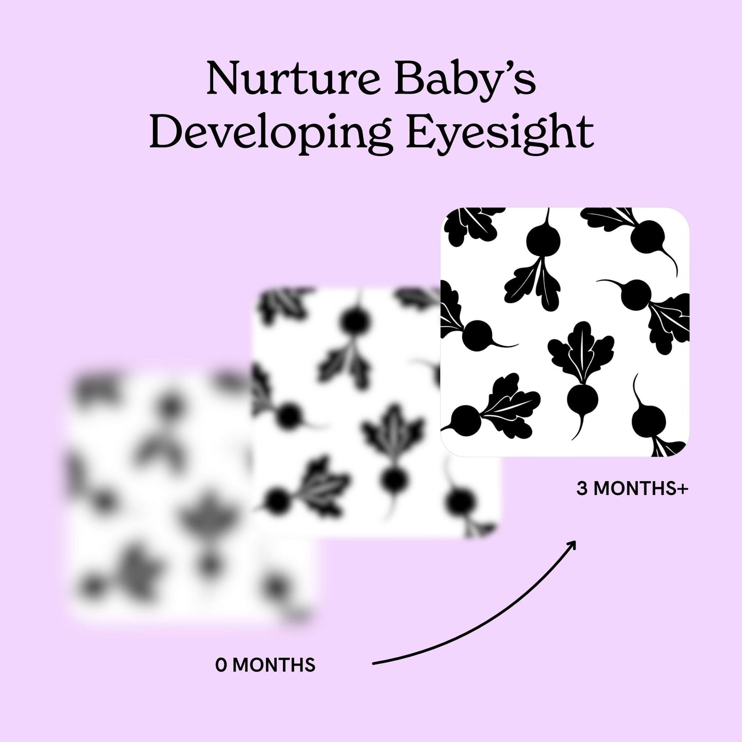 Garden for Baby Black and White Cards by Chunky Deli | High Contrast Sensory Toy for Newborn Visual Stimulation & Tummy Time | 10 Laminated Infant Learning Cards | Unique Foodie