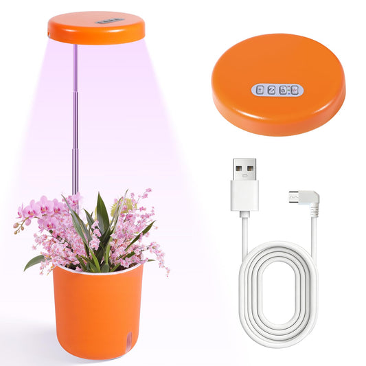 Raygrov Self-Watering Planter with Grow Light, Smart Indoor Pot for Venus Fly Trap, Carnivorous Plants, African Violet, Cat Grass, Catnip & Herbs, 2-in-1 Wall + Desktop, USB 5W Full Spectrum LED