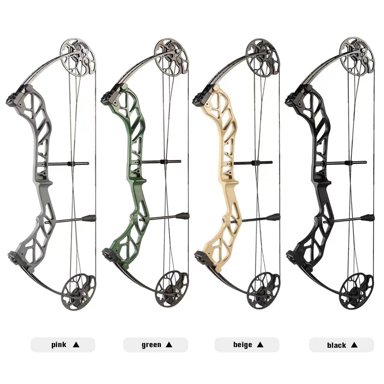 PANDARUS Compound Bow Package for Adults and Teens,19-70 Lbs Draw Weight Adjustable,19"-30" Draw Length,Limbs Made in USA,Archery Bow and Arrow Set,up to 320 fps, Let Off 75%2024 New(BLACKPRO)