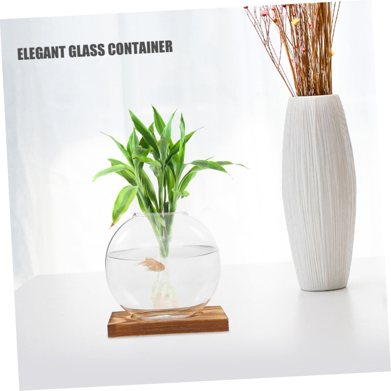 Toyvian 2pcs Hydroponic Glass Vase for Plants with Wooden Base Plant Propagation Station Indoor Terrarium Planter for Home Office Décor