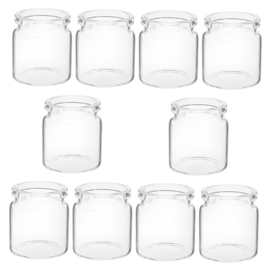 ANDRESLAD 10pcs Miniature Glass Bottles for Succulents Test Tube Vases for Micro Landscape Terrariums for Plant Propagation and Decorative Displays