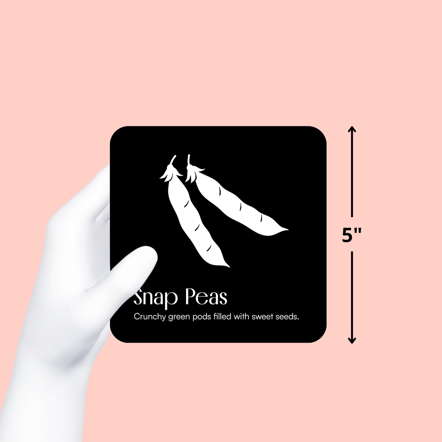 Garden for Baby Black and White Cards by Chunky Deli | High Contrast Sensory Toy for Newborn Visual Stimulation & Tummy Time | 10 Laminated Infant Learning Cards | Unique Foodie