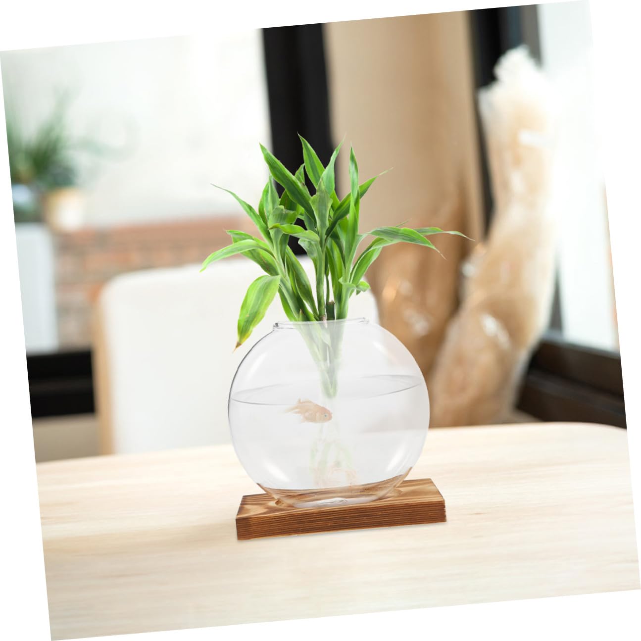 Ipetboom 2pcs Small Glass Propagation Vases with Wooden Base, Hydroponic Plant Terrariums for Home Office Desk, Glass Planter Suitable for Indoor Plant Cultivation