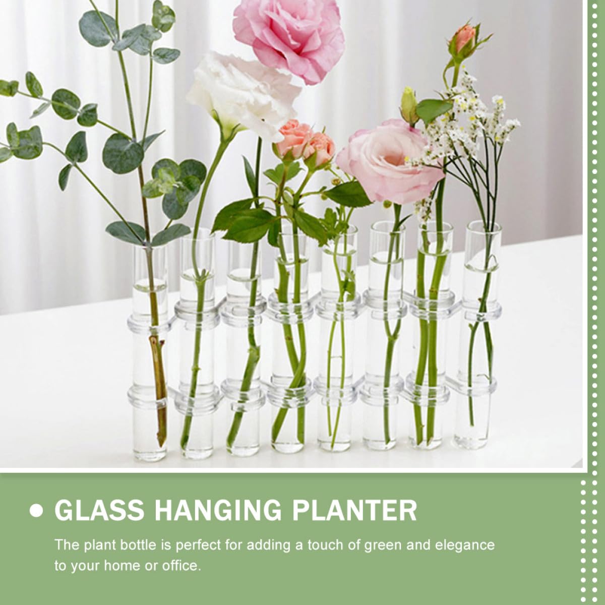 ibasenice Glass Test Tube Vases Set of 8 Large Hydroponic Propagation Tubes with Cleaning Brush for Indoor Plant Holder and Succulent Terrarium Home Décor