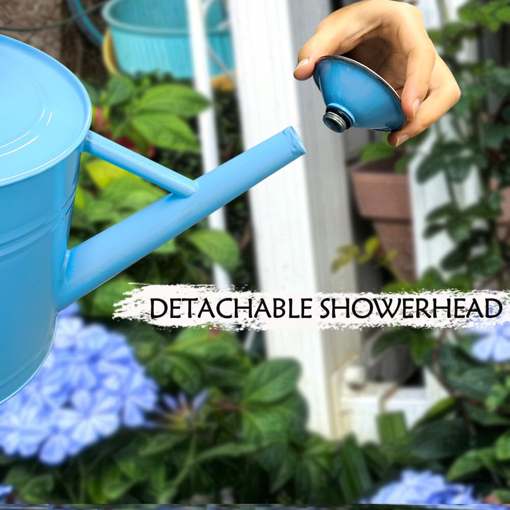 yourjoy Metal Watering Can, One Gallon Watering Cans Stainless Steel for Outdoor Indoor Garden Plants Watering (Stainless Steel Handle Blue)