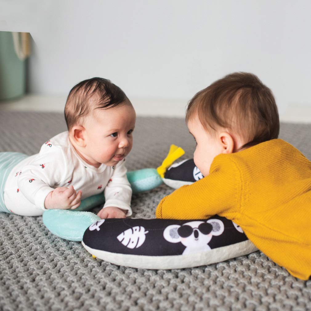 Taf Toys 2-in-1 Tummy Time Support Toy for Newborns & Infants, Soft Panda Support Toy with High-Contrast Crinkle, Baby Development Toy for Neck & Arm Support, Sensory Activity Mat 0-6M