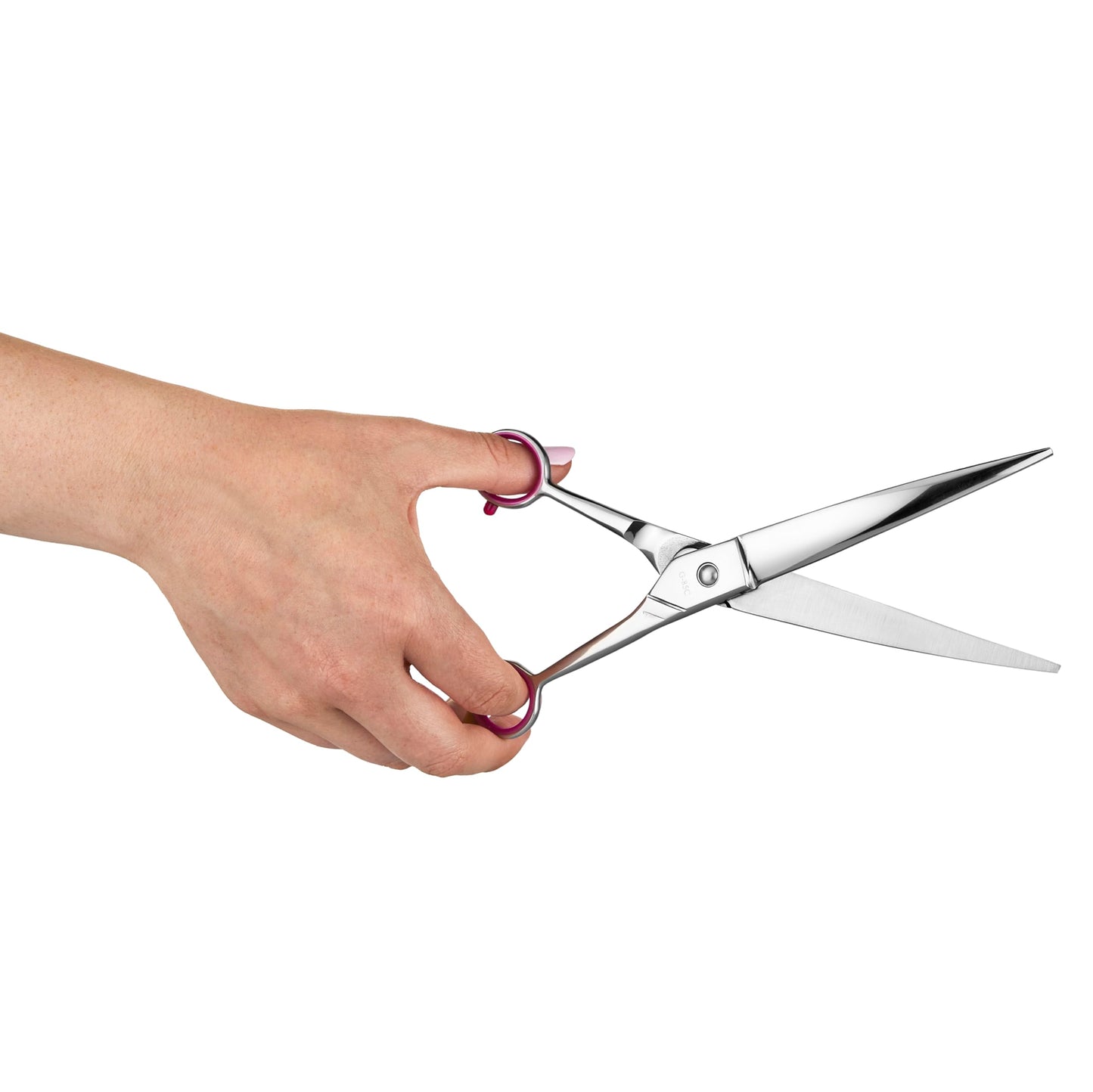 Geib Buttercut Dog Grooming Scissors, Stainless Steel Professional Dog Grooming Kit - Curved, Straight and Thinning Shears, 3 in 1 pet grooming kit