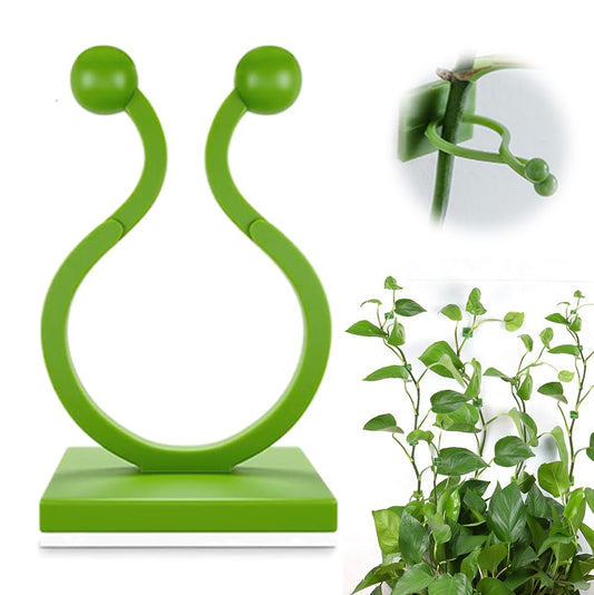 Plant Climbing Wall Clips, 2026 New Plant Wall Clips for Climbing Plants, Multi-Size Vine Clips for Support for Home Decor, Invisible Plant Support for Gardeners (200, Green)
