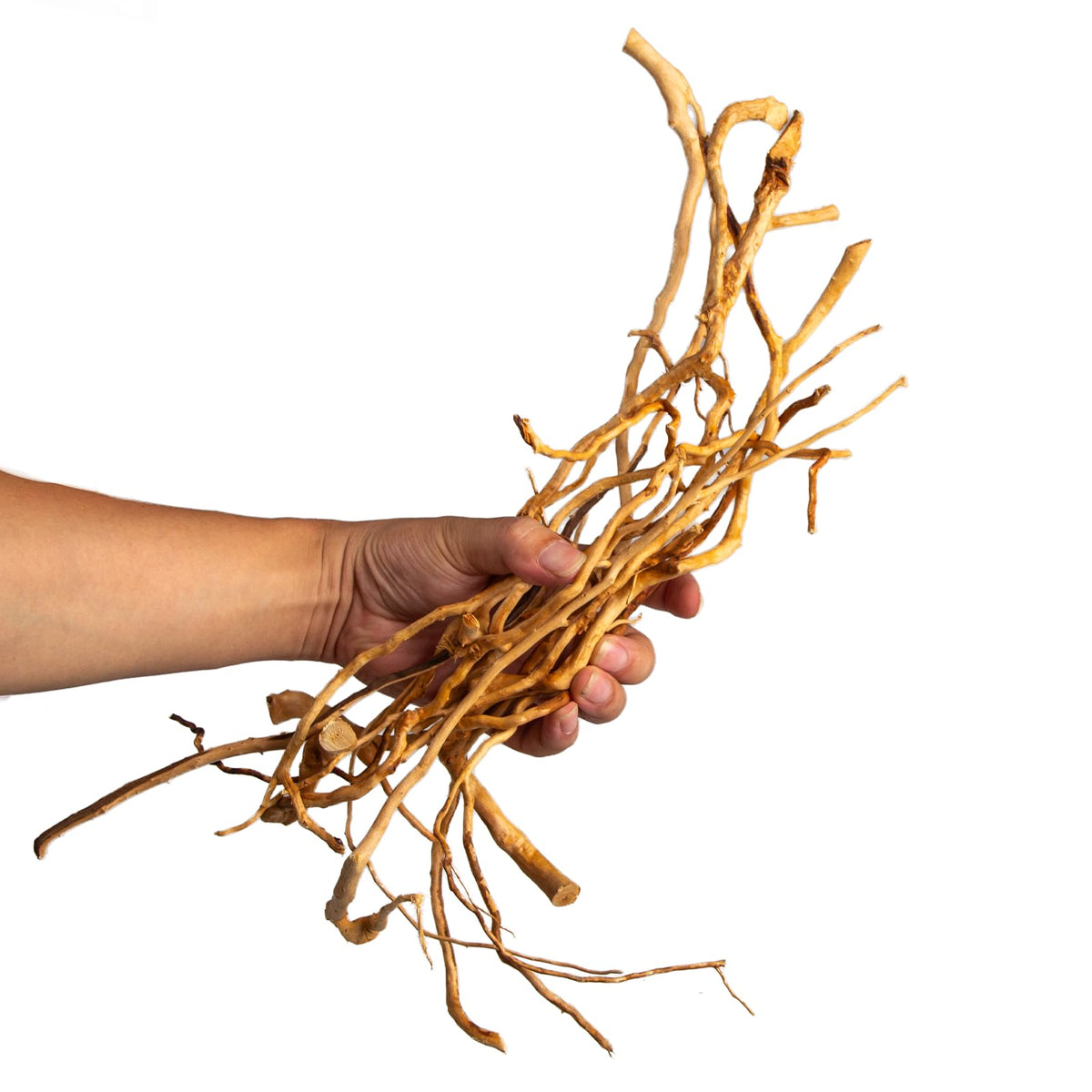 emours Natural Aquarium Driftwood, [170g] (20–40 cm /8–16 in) - Unique Root/Spider Wood Branches for Aquascaping, Planted Tanks & Terrariums, Fish & Plants Decoration, Each Piece One-of-a-Kind(Mixed)