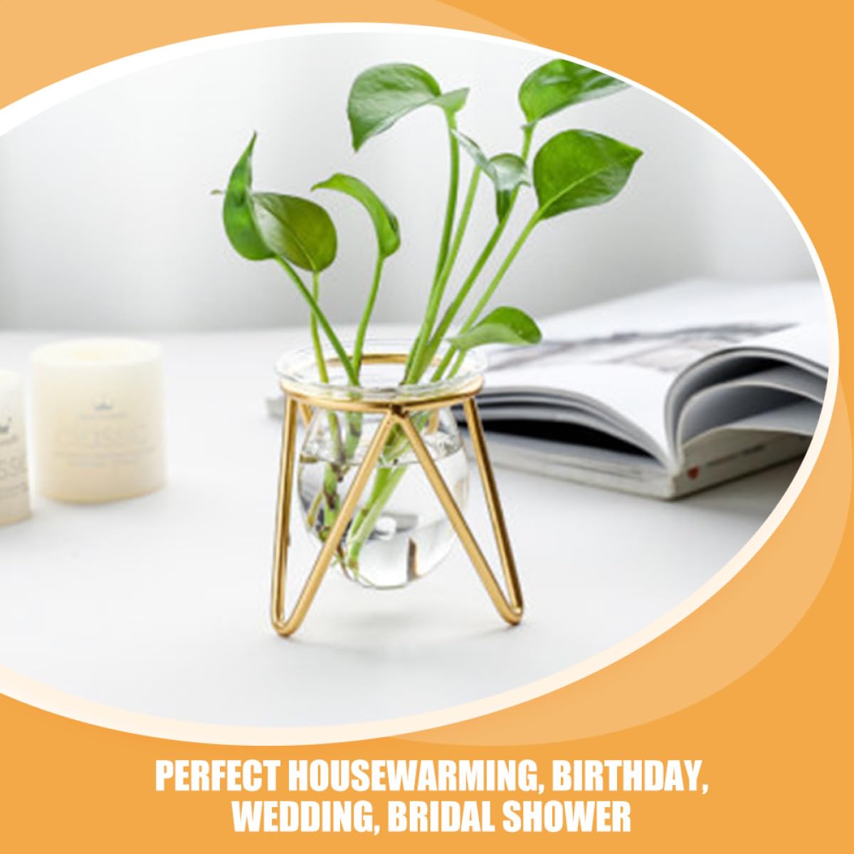 VICASKY Hydroponic Glass Plant Container with Metal Stand, Small Gold Desktop Flower Vase for Air Plants and Terrarium Décor, Glass Hydroponic Pot for Wedding and Office Use