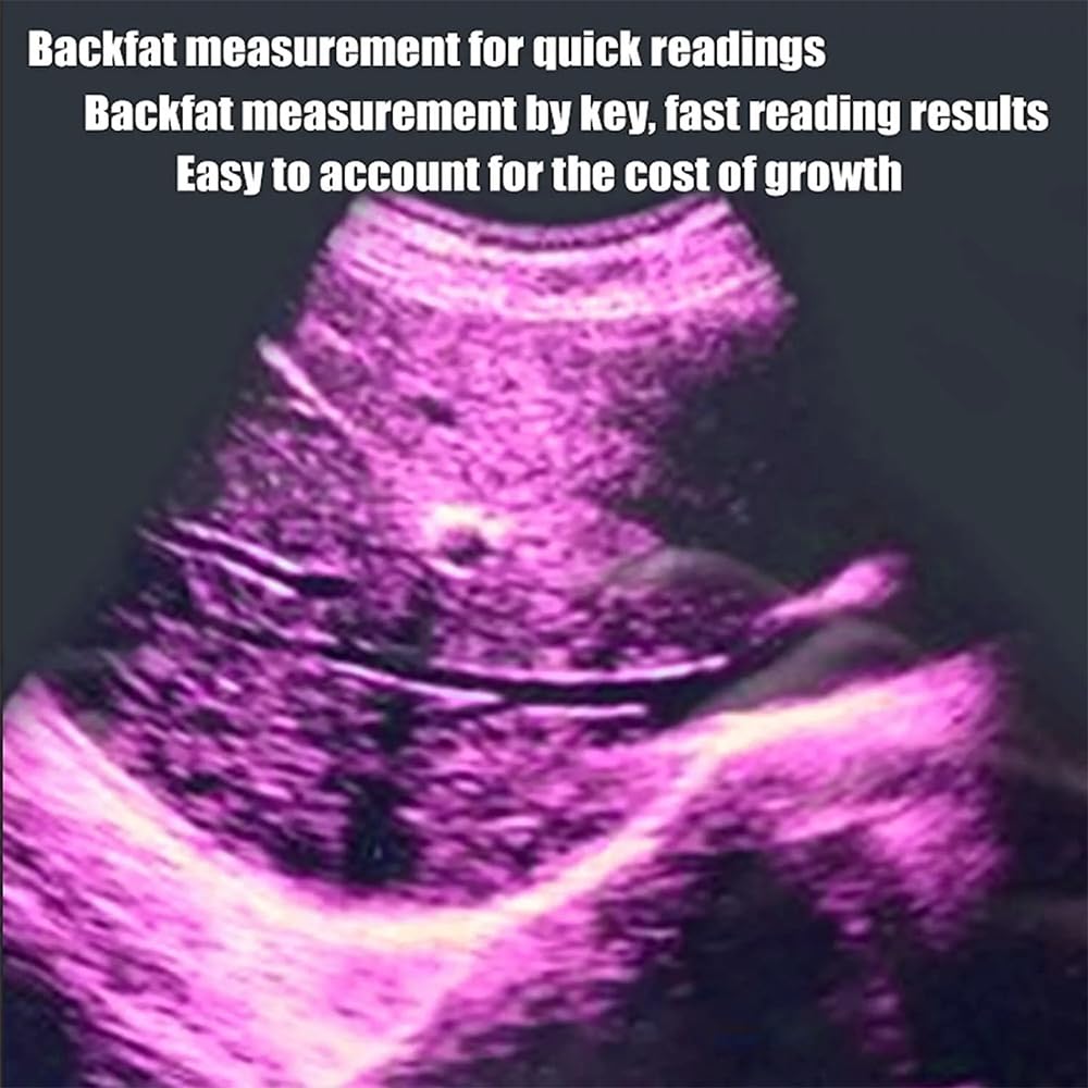 DAWEI Veterinary Ultrasound Machine for Pregnancy Portable Scanner with 3.5Mhz Convex Probe Waterproof Probe for Pig,Sheep,Dog,Cat,Livestock,Pet use