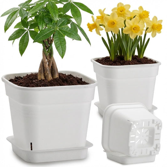 6 Pack 10/8/6 Inch Square Plant Pots with Saucers - 24-Strip Airflow Drainage for Root Health - Heavy Duty 5mm Thick White Plastic Orchid Planters for Indoor Outdoor Flowers, Herbs & Succulents