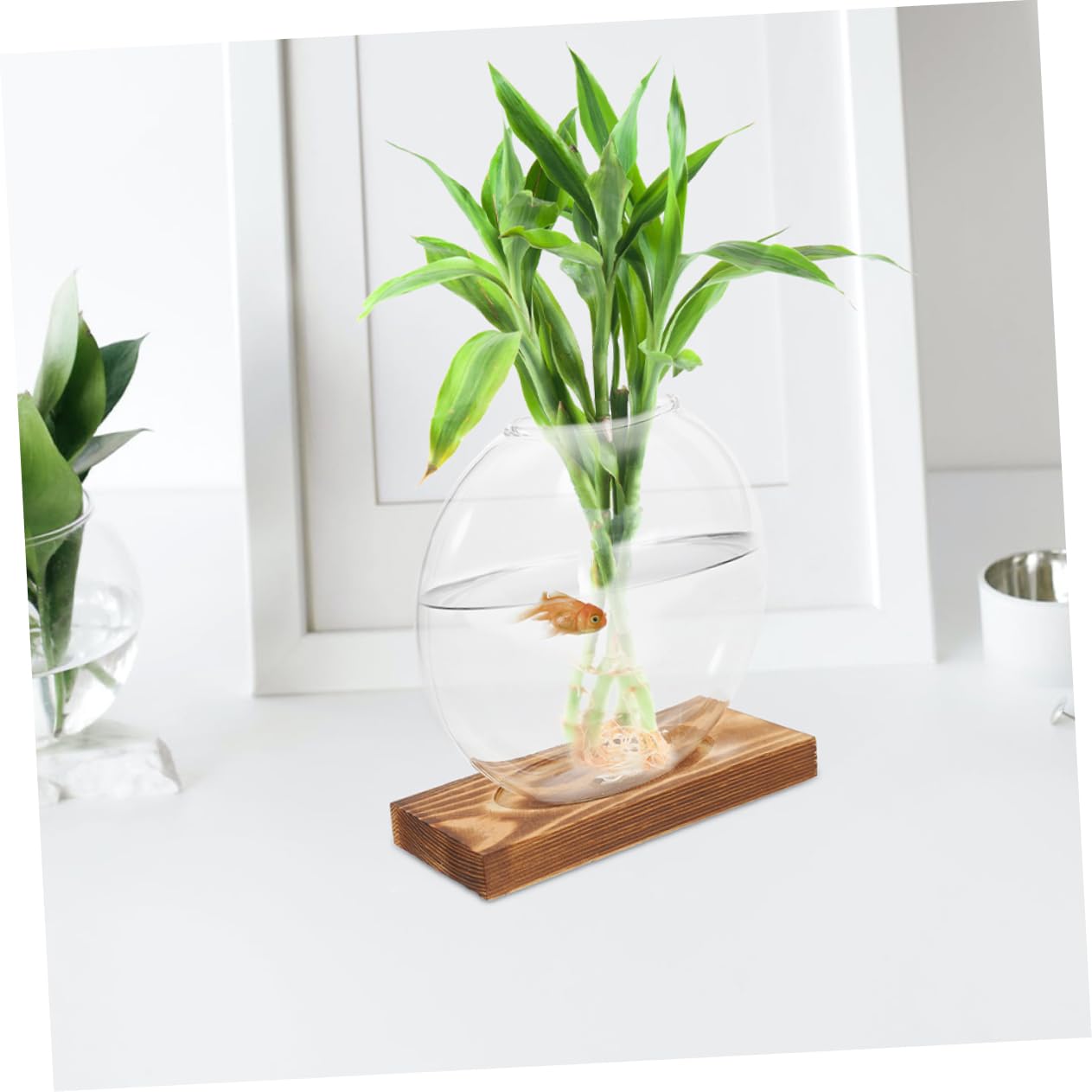 Cabilock 2pcs Plant Propagation Station: Hydroponic Glass Vase with Wooden Base Transparent Plant Terrarium - Hydroponic Vase for Home Office School Balcony