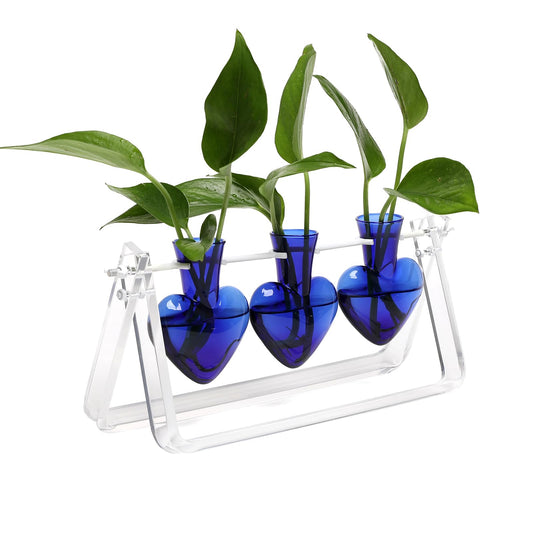 CYZglass Clear Plant Terrarium Propagation Stations with Acrylic Stand Birthday Gifts for Women Office Home Decor