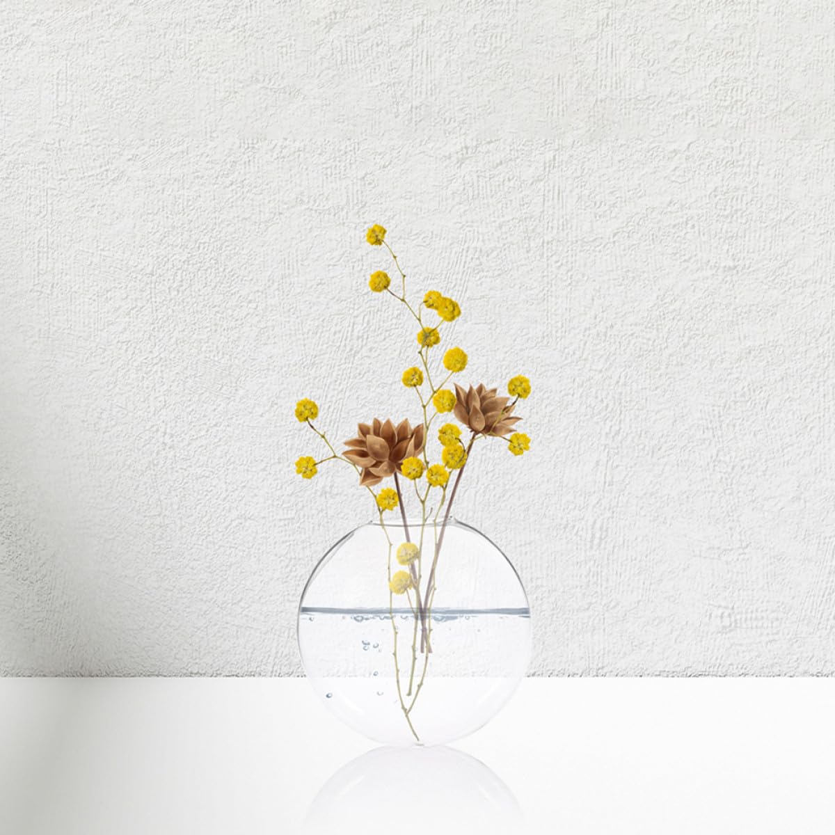 ERINGOGO 2pcs Glass Hydroponic Hanging Terrarium Vases for Indoor Plants Wall Mounted Decorative Plant Flower Vases for Home Office