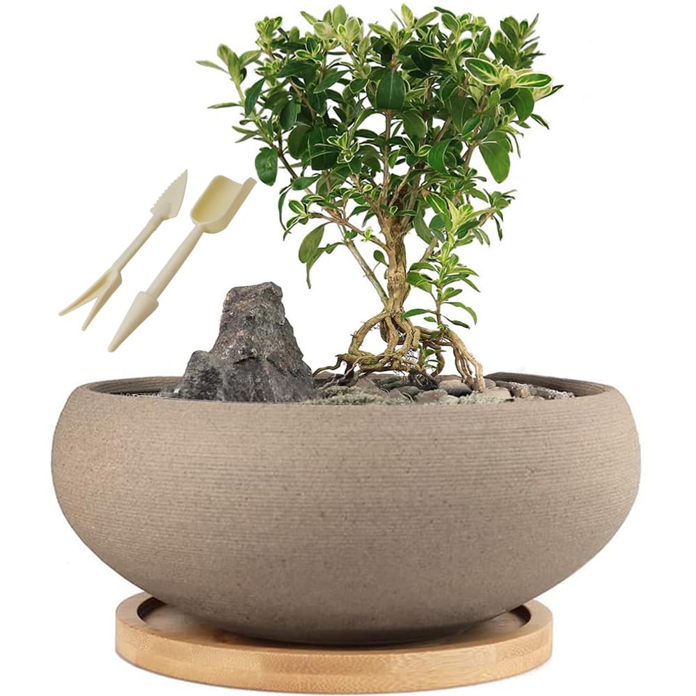 MUZHI Round Unglazed Ceramic Bonsai Pot with Bamboo Tray, Large Rough Pottery Succulent Planter with Drainage Hole 8 inch … (8”)