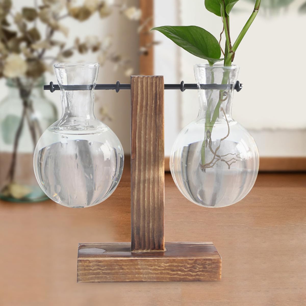 MAGICLULU 3pcs Hydroponic Propagation Glass Vase Set with Holes on Wooden Stand, High Borosilicate Glass Planter for Plant Terrarium and Indoor Gardening Decor