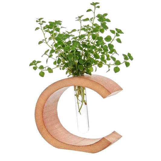 MAYJOYDIY Moon Plant Propagation Station, Plant Terrarium with Wooden Stand, Glass Tubes Plants Pots for Hydroponics for Women Mom Plants Lovers Gardening Gifts, Crescent Moon