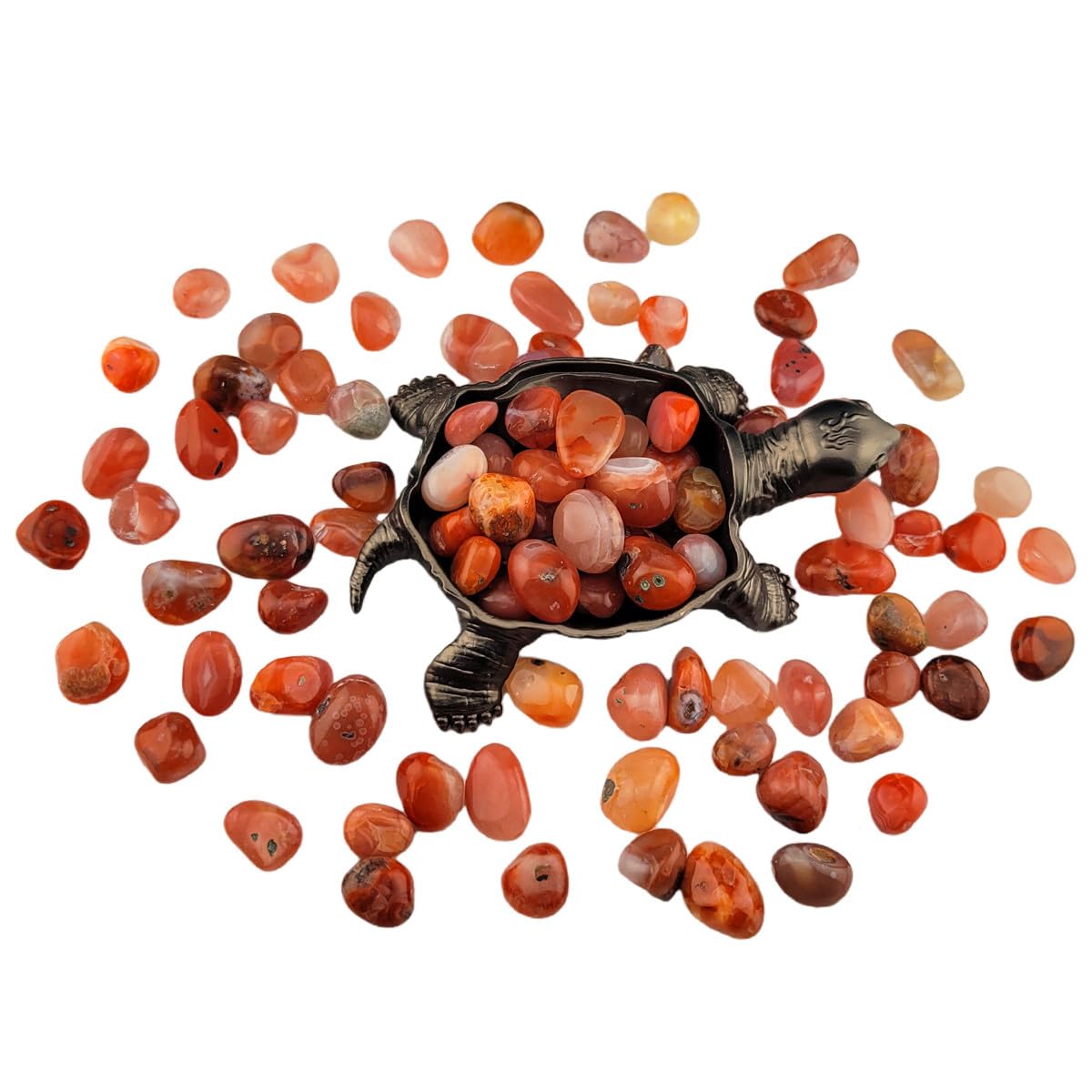 1,000 Carats Red Agate Handpicked Tumbled Stones Crystals Chips 0.3''-0.5'' Bulk Fountain Rocks Pocket Stones for Healing, Reiki, Meditation, Witchcraft,Home Decorations (Red Agate)