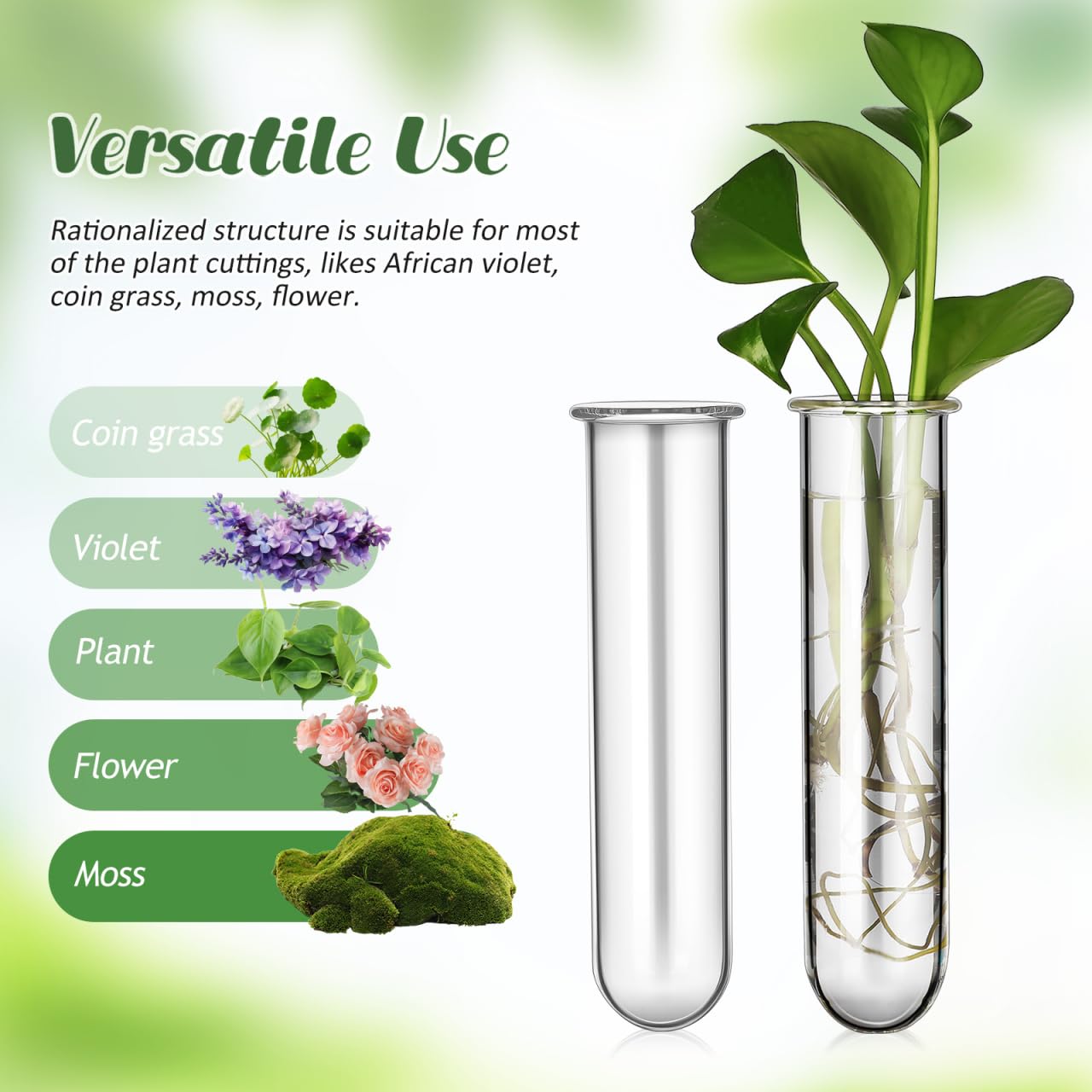 Housoutil Glasstubes for Plants, 5PCS Propagation Tubes for Plants, Glass Test Pipe Vase for Scientific Experiments, Desktop Party Home Office Decor, Flowers Desktop, Indoor Hydroponic Station