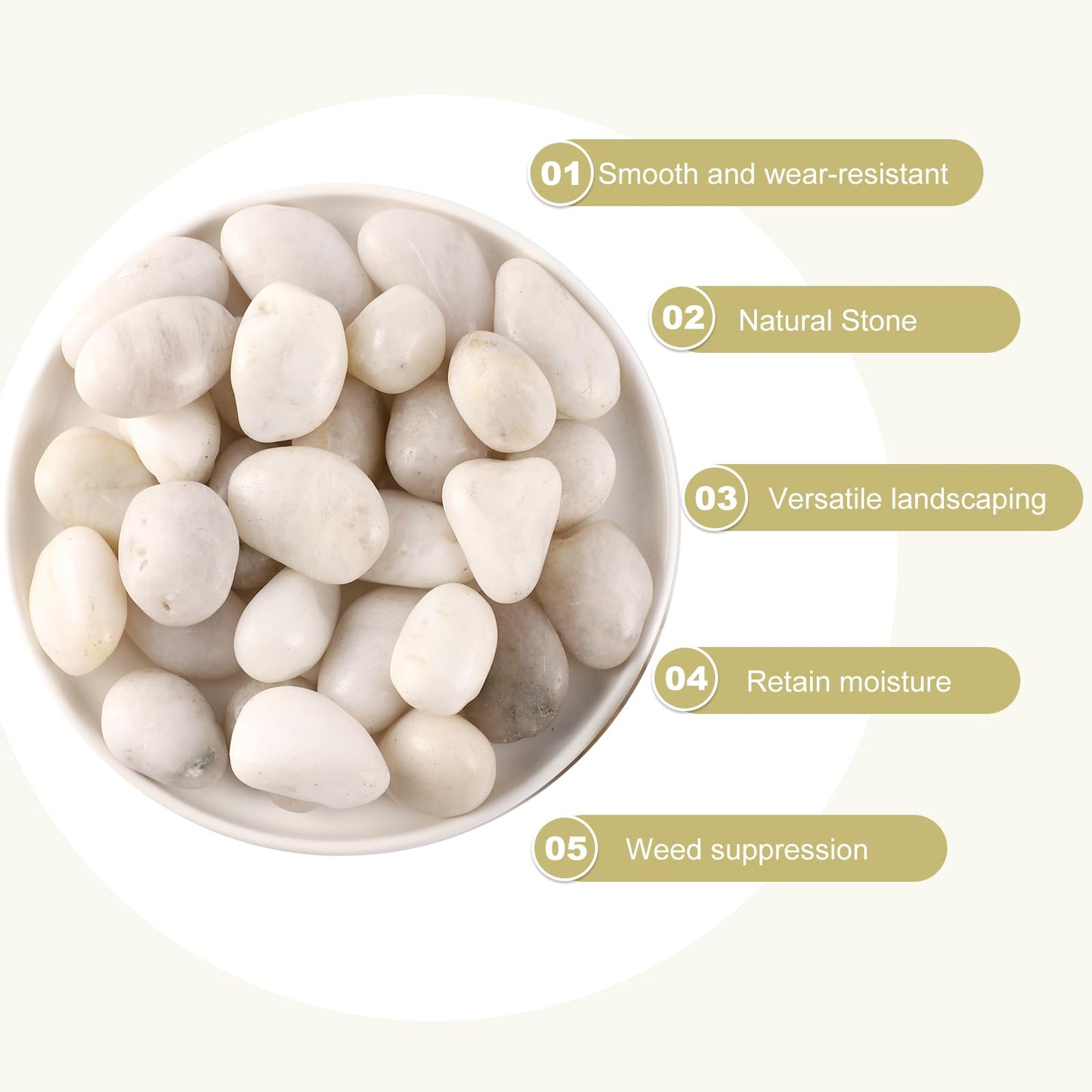 LMtonble 20LB River Pebbles Polished Gravel for Plants Natural White Plant Stones River Rocks 3/4-1 5/8 Inch River Stones for Landscaping Small Pebbles for Crafts