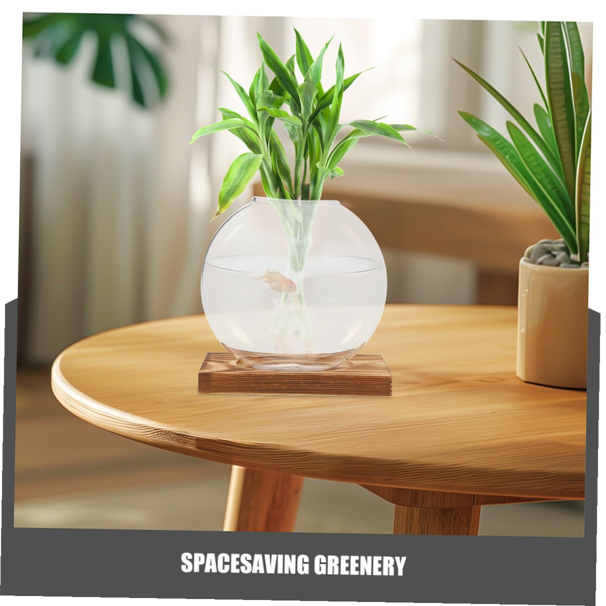 EPIGEIST 2pcs Hydroponic Glass Vase Containers with Wooden Base, Plant Terrarium for Indoor Propagation, Desktop Hydroponic Plant Vase for Home and Office Décor