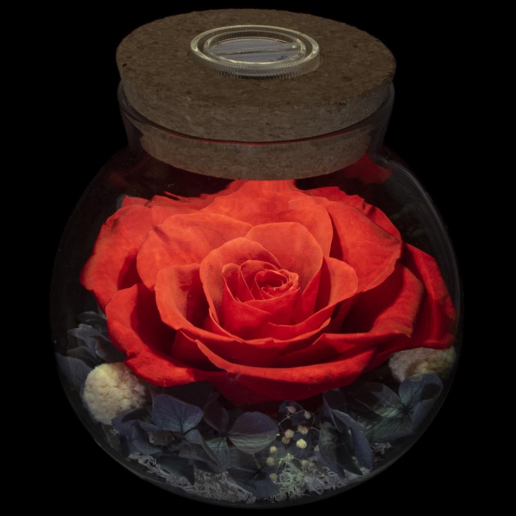 roliys Preserved Real Roses with Colorful Mood Light Wishing Bottle, Eternal Rose，Never Withered Flowers, Table Decor,Christmas Anniversary Valentine's, Red 4.3inch, 1pcs