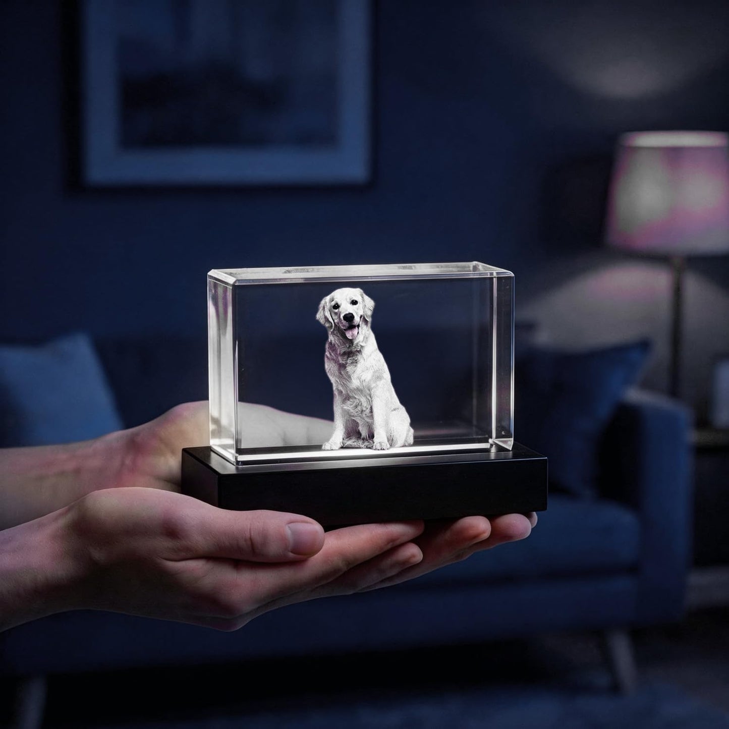 P&L ART. Custom 3D Crystal Photo Personalized Memorial Gifts, Laser Engraved Glass Remembrance Picture Frame with LED Base for Pet Dog Cat Loss (Rectangle S/M/L/XL)