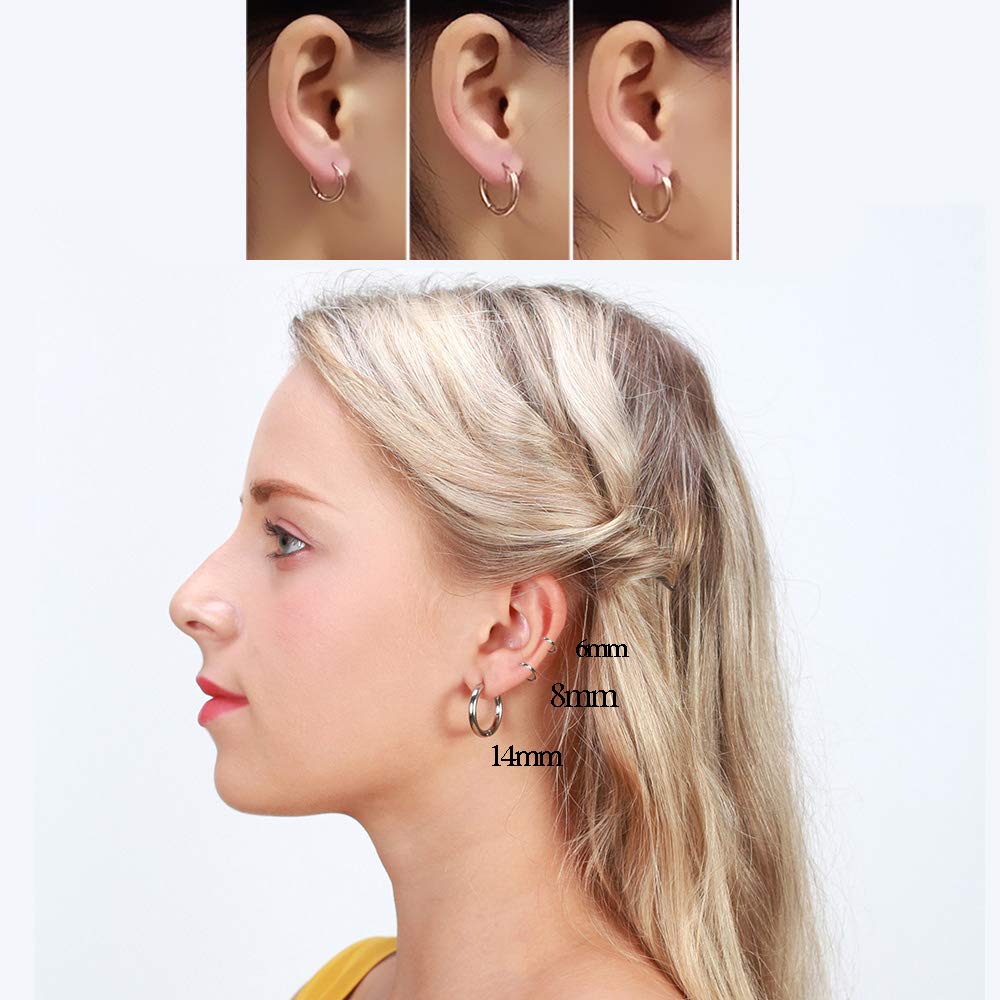 316L Surgical Stainless Steel Huggie Hoop Earrings 6mm Rose Gold Hypoallergenic Earrings Hoop Cartilage Helix Lobes Hinged Sleeper Earrings For Men Women(A04:6mm Rose Gold(THK 2.0mm))