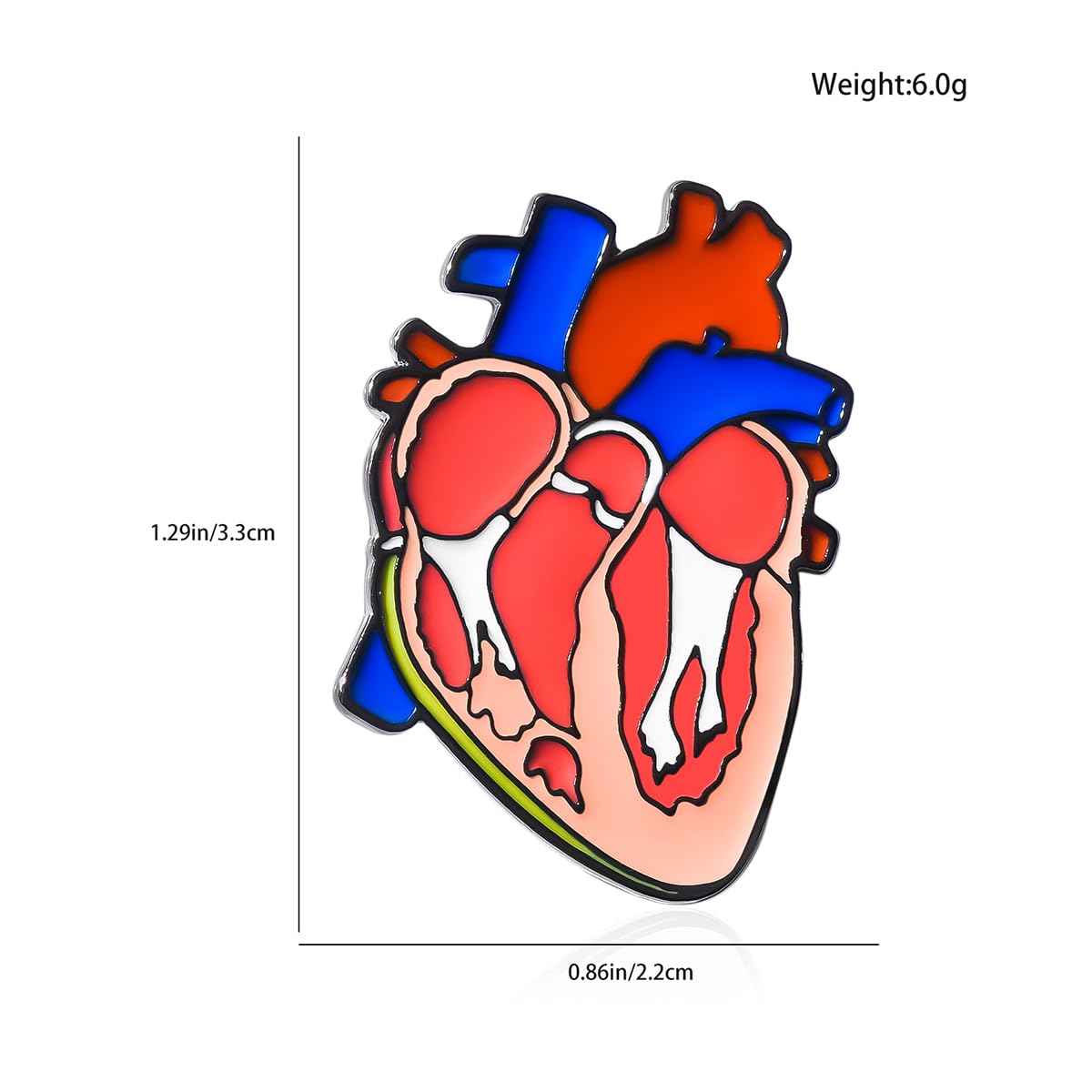 Dr's gift Anatomical Heart Enamel Brooch Cardiac Design Lapel Pin Backpack Hat Badge Medical Jewelry for Cardiologists Nurses Biology Enthusiasts