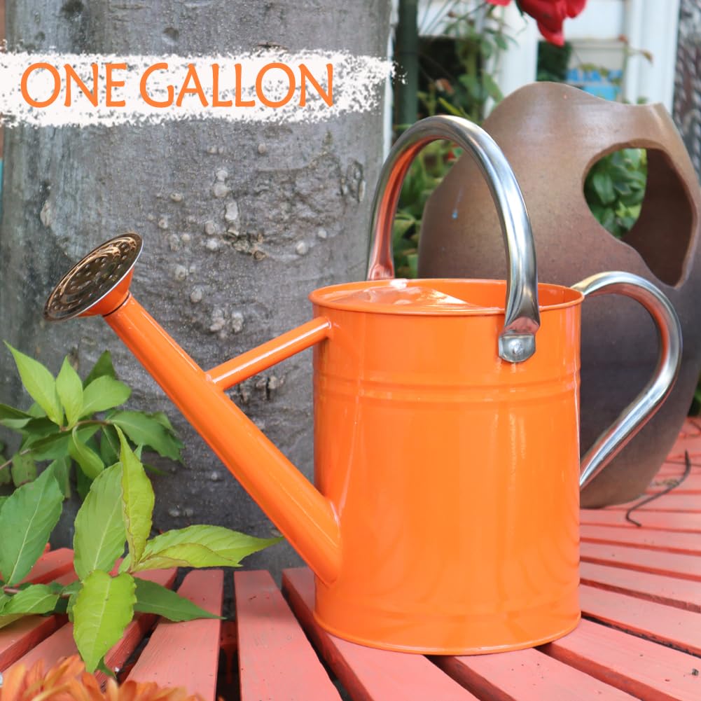 yourjoy Metal Watering Can, One Gallon Watering Cans Stainless Steel for Outdoor Indoor Garden Plants Watering (Stainless Steel Handle Orange)