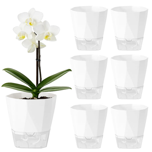 6 Pack Self Watering Plant Pots 6 Inches Self-Watering Planters for Indoor and Outdoor Plants African Violet Succulent Pots Clear Pot for Plants Large Herb Orchid Flower Houseplant Plant, White