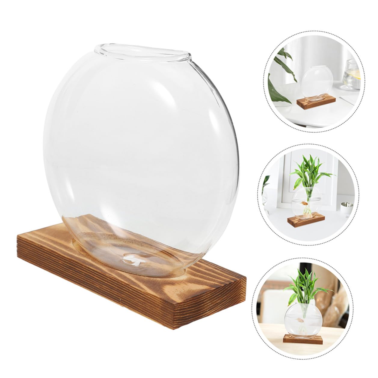 PRETYZOOM Glass Plant Propagation Vases with Wooden Base, 2pcs Hydroponic Glass Containers for Indoor Plants, Terrarium Containers for Home and Office Decor