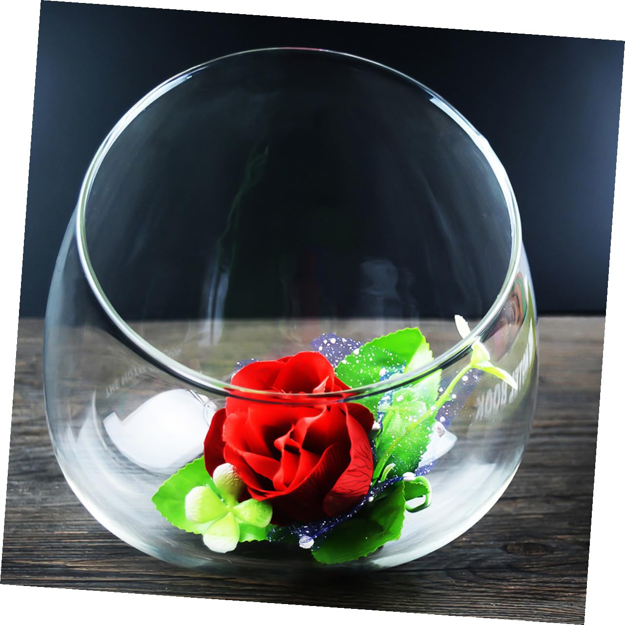HOODANCOS 3pcs Glass Slant Cut Terrarium Bottle Decorative Micro Landscape Display for Succulents Plants for Home Decor Unique Ornament
