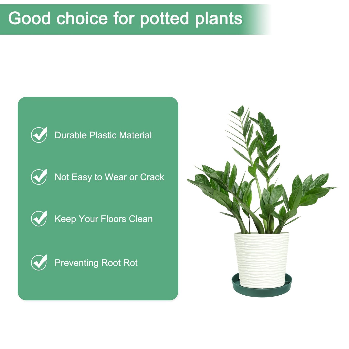 M METERXITY 2-Pack Plant Saucer, 9 Inch Flower Pot Saucers, Thicker Anti-Rot Root Plastic Plant Saucer for Indoor/Outdoor Potted Plant/Plant Water Catcher Tray [Green]