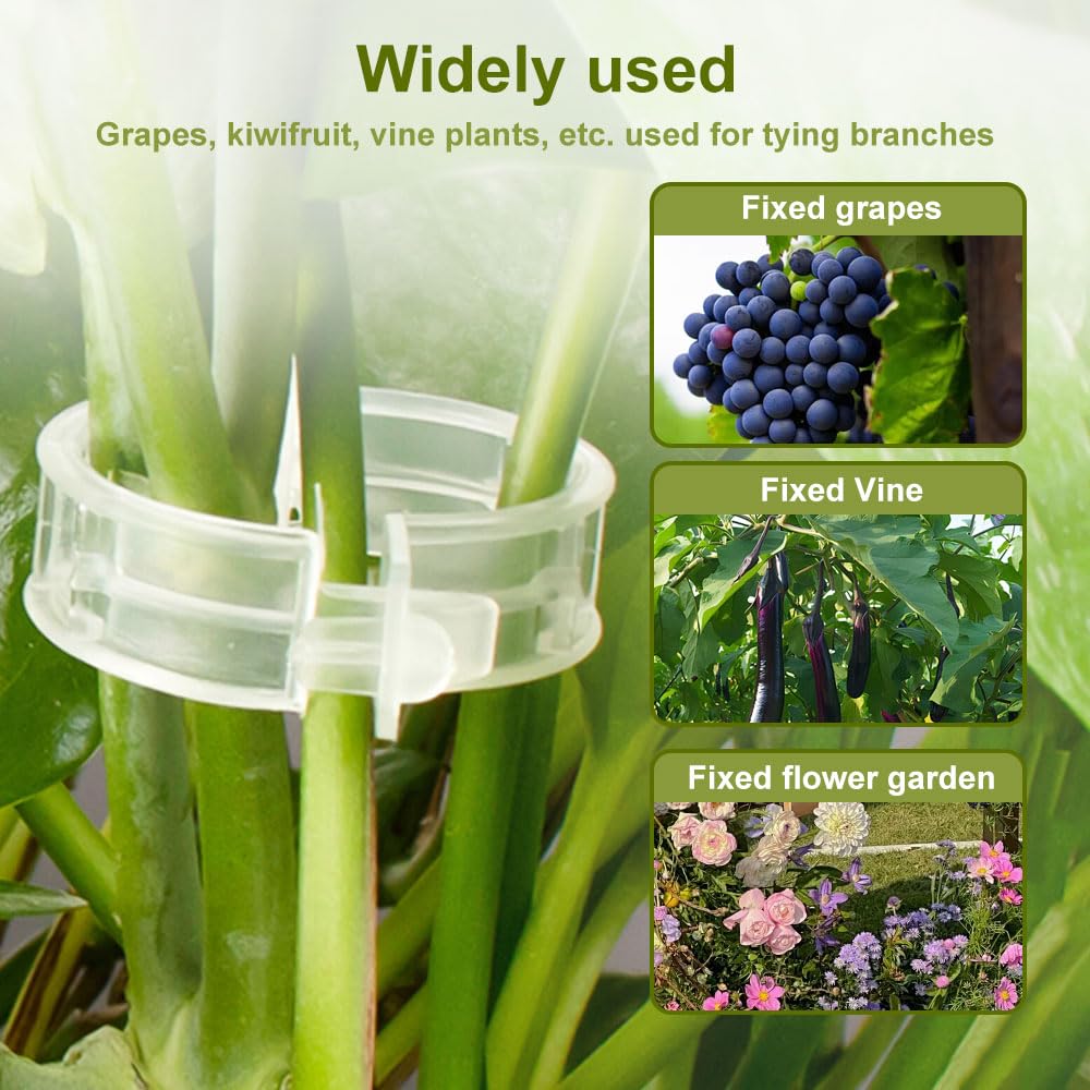 Thickened Plant Fixing Clip 100Pcs, 2025 Summer New Tomato Grape Vine Vegetables Plant Fixing Clips, Upgrade Plant Support Clips Reusable Garden Clips Secured Plastic Plant Clip (50, Black)