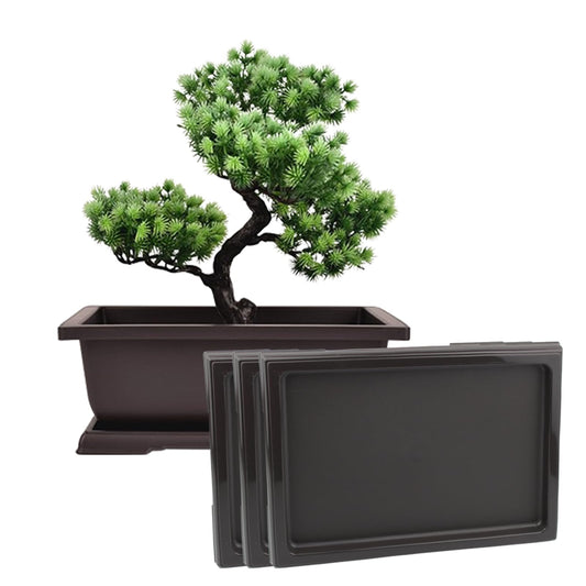 3 Pack Bonsai Humidity Tray, Square Plant Drainage Saucer Flower Pot Drip Trays for Cactus, Succulents, Bonsai Tree, Pebble Trays, Indoors and Outdoors Plants Accessories
