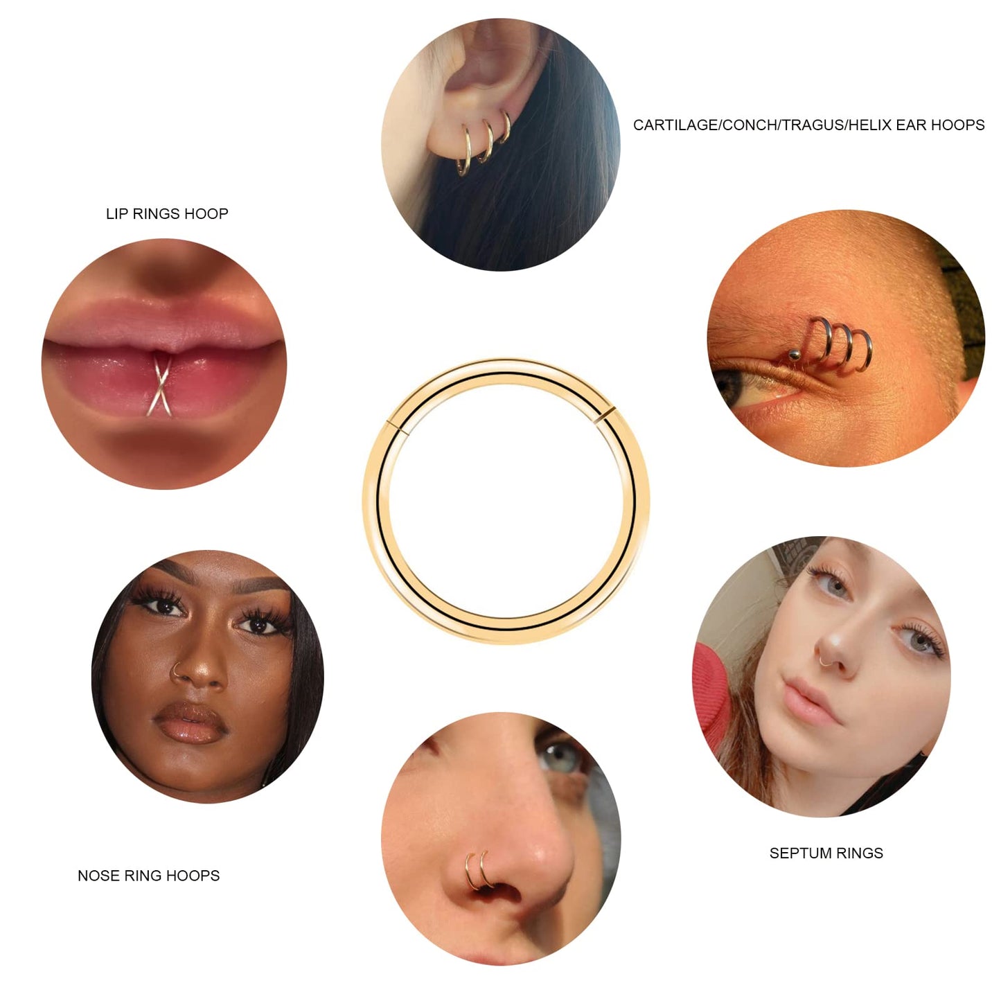 arvinpiercing BOGKU 6pcs G23 Titanium Hinged 16g Nose Rings Hoop 16 Gauge 12mm Nose Septum Clicker Segment Rings Cartilage Conch Tragus Helix Rook Hoop Earring Nose Ear Piercing Hoops