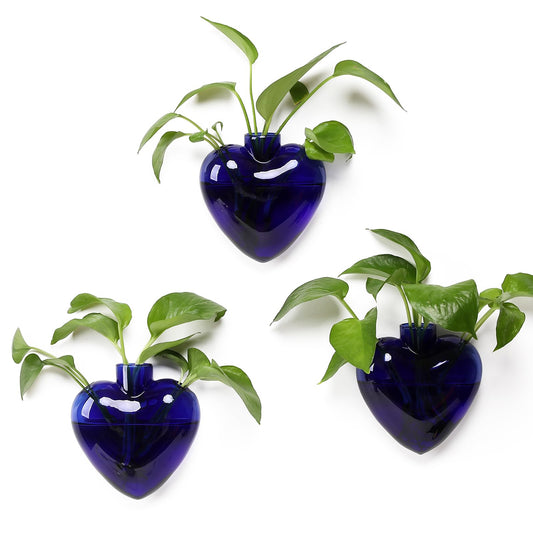 CYZglass Wall Hanging Planter Propagation Station for Indoor Plants Glass Vase Air Plant Holder Gift for Women Girlfriend Plant Lover