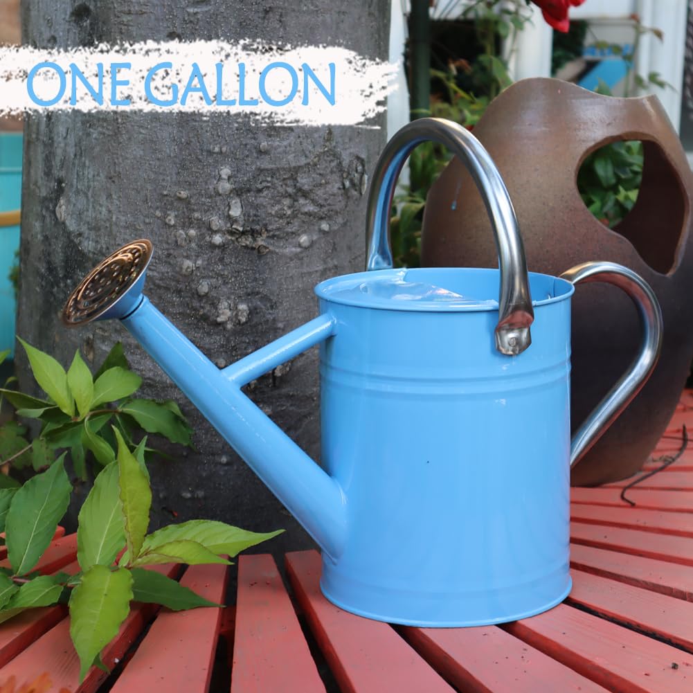 yourjoy Metal Watering Can, One Gallon Watering Cans Stainless Steel for Outdoor Indoor Garden Plants Watering (Stainless Steel Handle Blue)