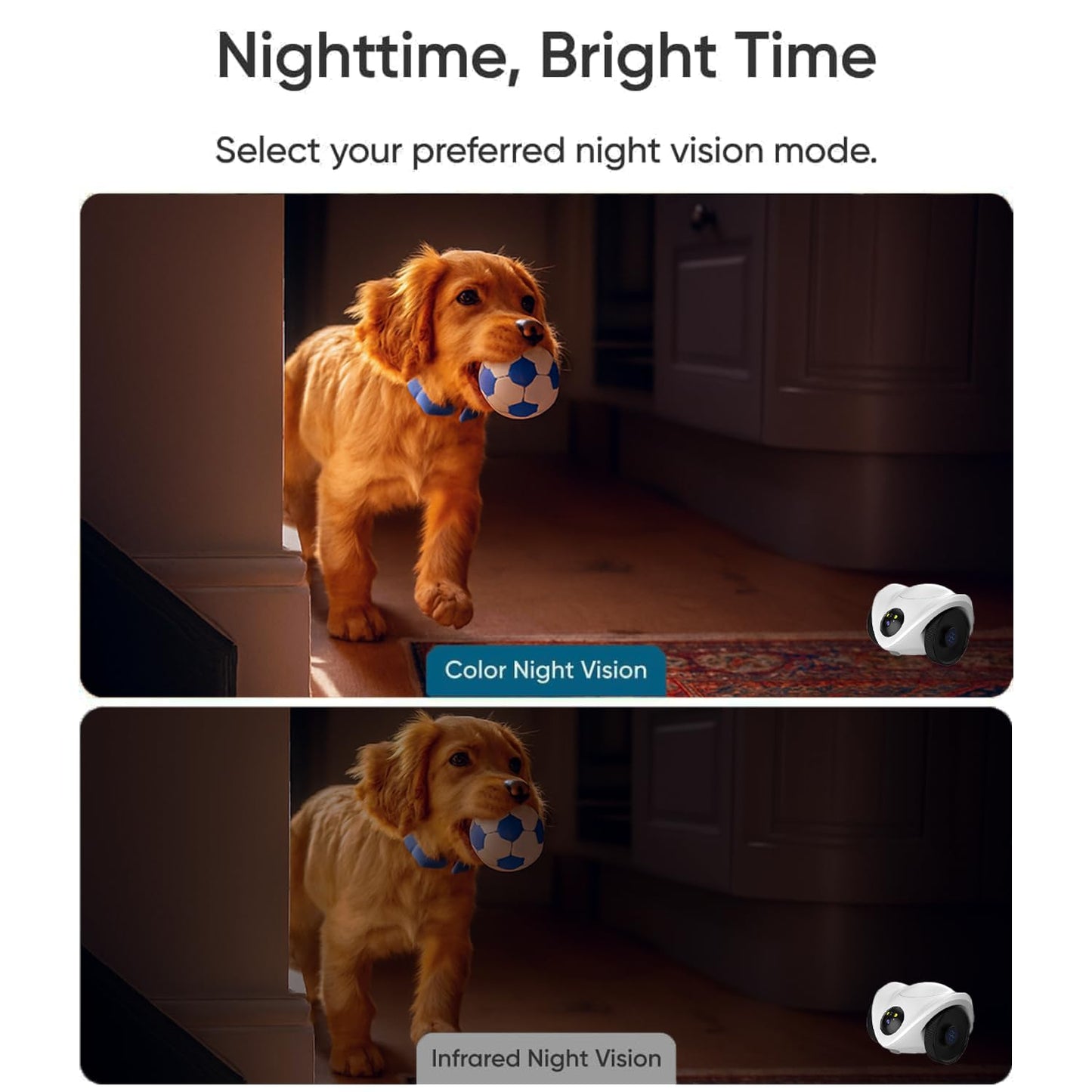 Belcore Robot Pet Camera with One-Tap Treat Dispensing | Mobile 360° Monitor, 2-Way Audio, and Smart Tracking | No Monthly Fees, Dual Cameras, Long Battery Life for Pet Care