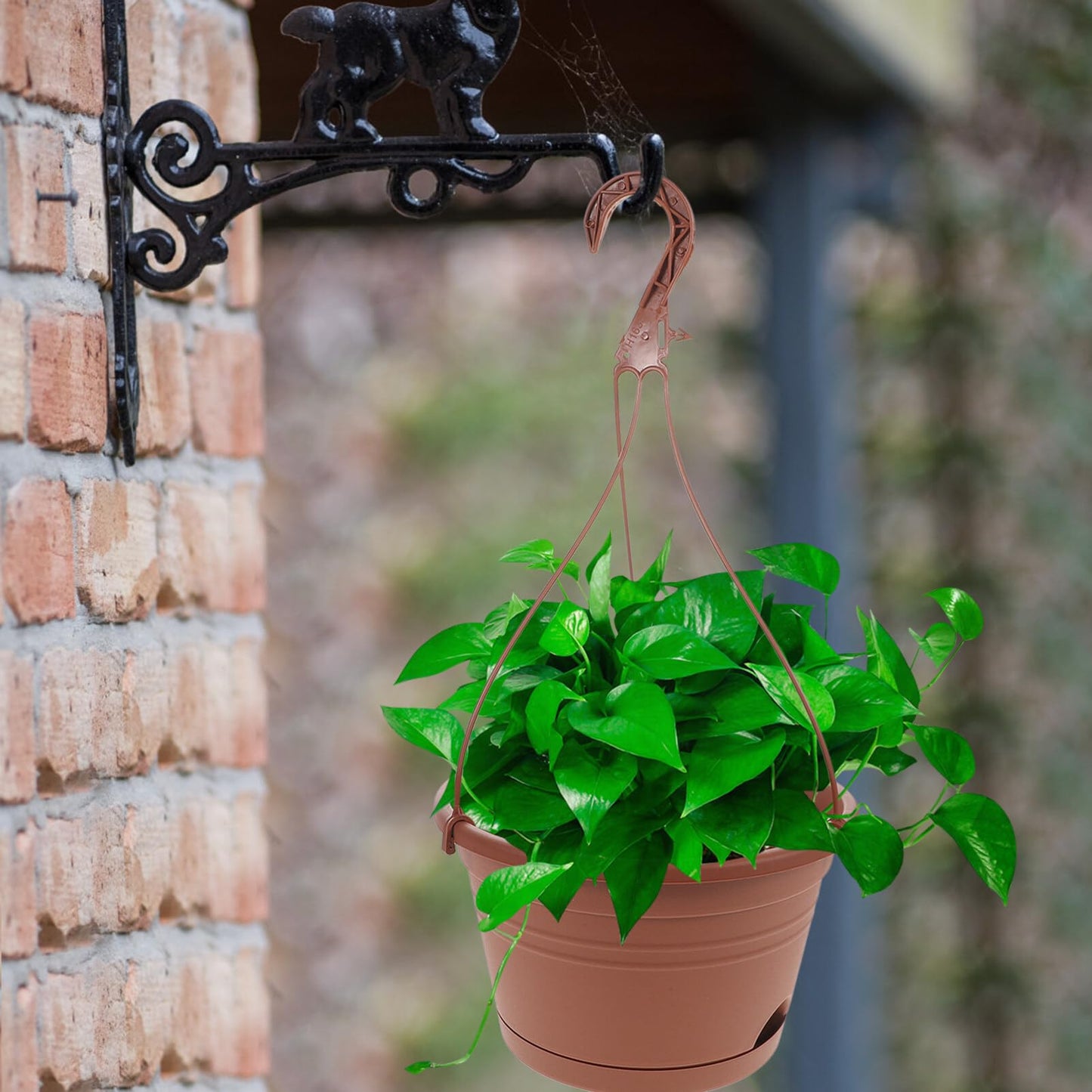 BESTonZON 3Pcs Hanging Planters for Indoor Plants, 10 Inch Plastic Flower Pots with Drainage Tray and Hooks, Large Outdoor Plant Basket Macetas Colgantes para Exterior