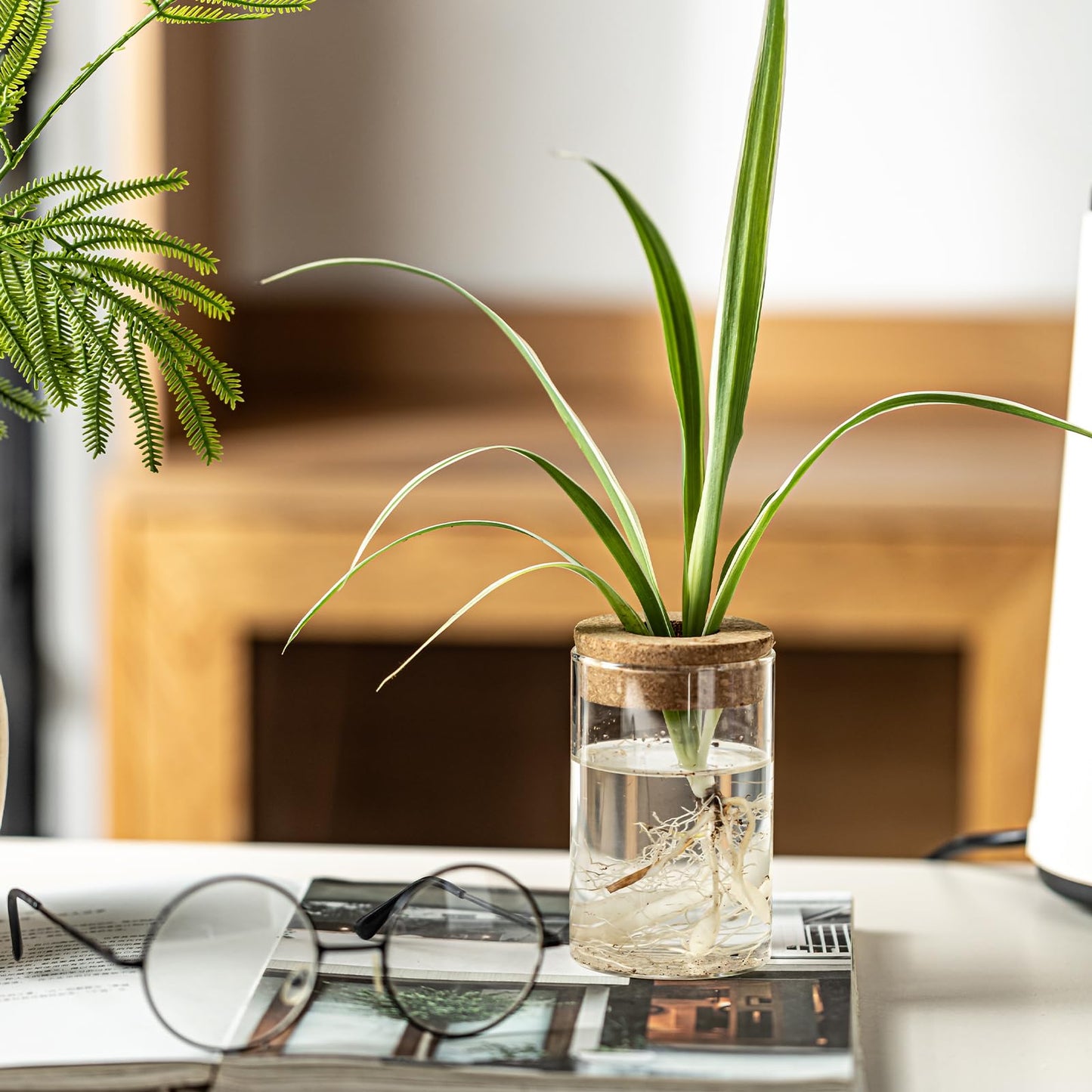 wangsdjy Separated Desktop Glass Flower Vases - Ideal Plants Propagation Stations for Living Room, Bedroom Decoration,Home Decor (6)